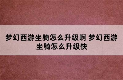 梦幻西游坐骑怎么升级啊 梦幻西游坐骑怎么升级快